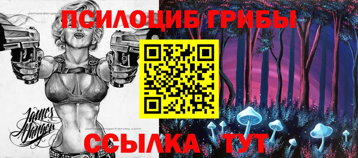 Нижнеудинск  Галлюциногенные грибы Magic Shrooms  Вход с VPN  наркошоп  Галлюциногенные грибы прущие грибы 